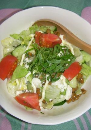 A picture of For Those on a Diet Super-Delicious Natto & Tofu Salad.
