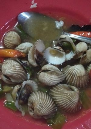 Foto resep Kerang Dara kuah kuning