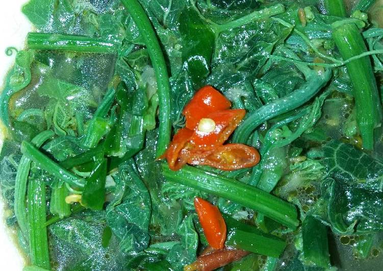 Resep Tumis pucuk daun labu yang Lezat
