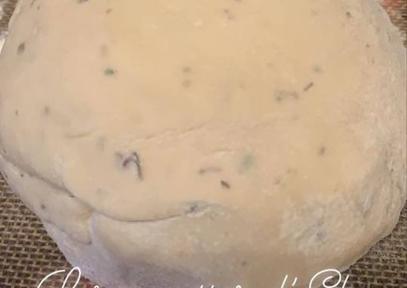 Pâte à pizza rapide au Thermomix