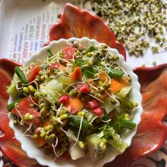 A picture of Sprouts Salad High protein moong sprouts recipe in Indian meal.