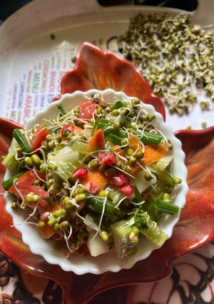 A picture of Sprouts Salad High protein moong sprouts recipe in Indian meal.