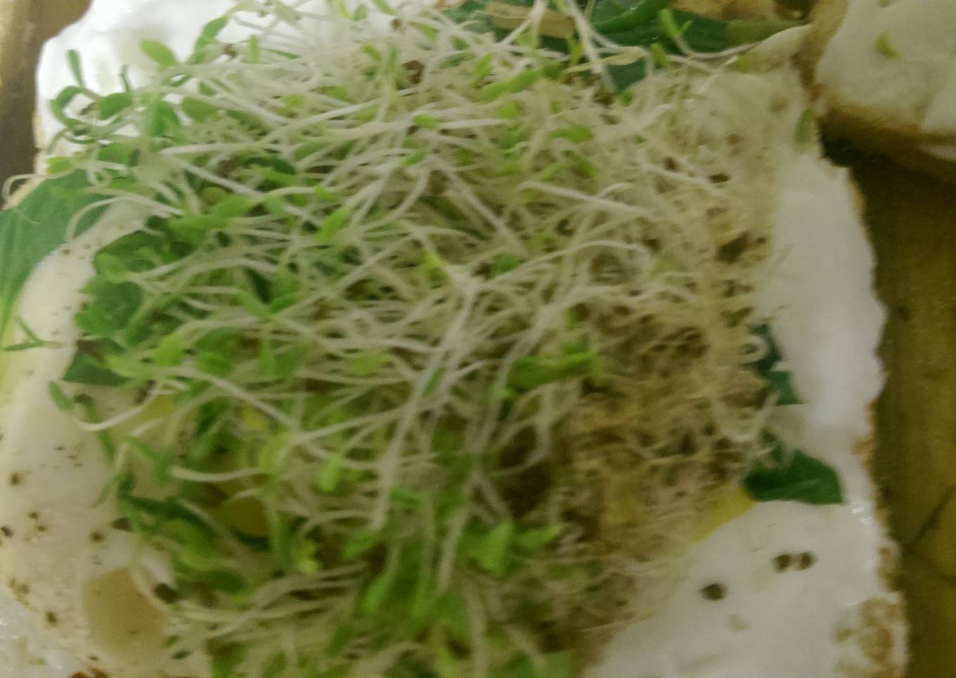 Spectacular egg sandwich