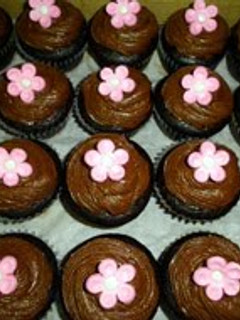 A picture of Chocolate cupcakes.