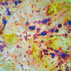 A picture of Leftover Gobhi ka Paratha.