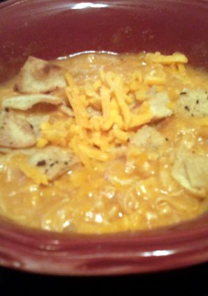 A picture of chicken enchilada soup.