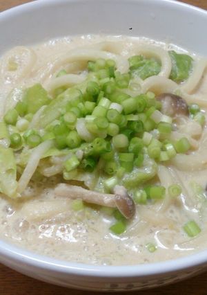 A picture of Warming Soy Milk Miso Udon.