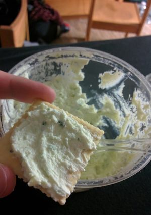 A picture of Goat Cheese Scallion Spread.