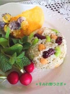 A picture of Western-style Bean Rice with Basil.