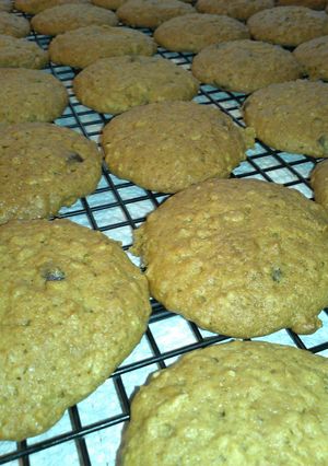 A picture of " PUMPKIN-OATMEAL COOKIES with CHOCOLATE CHIPS".