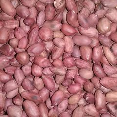 Roasted groundnuts A picture of Roasted groundnuts.