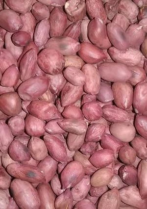 A picture of Roasted groundnuts.