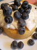 Blueberry yogurt breakfast shortcake