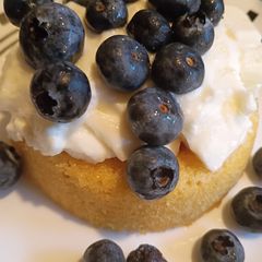 A picture of Blueberry yogurt breakfast shortcake.