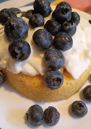 A picture of Blueberry yogurt breakfast shortcake.