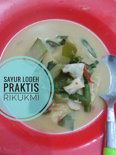 Foto resep Sayur Lodeh Praktis