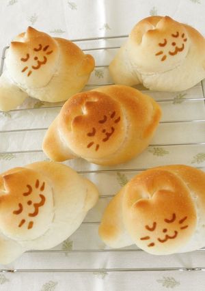 A picture of Kitty Cat Rolls (All Curled Up!).