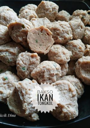 Foto resep Bakso Ikan Tongkol anti gagal