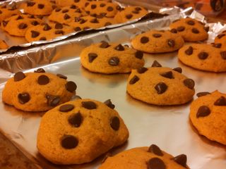 Best Pumpkin Chocolate Chip Cookies