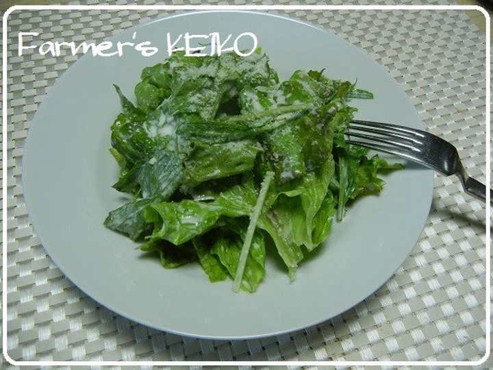 Recipe Caesar Salad Dressing the Delicious Can spoil the tongue