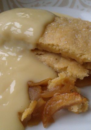 A picture of Vickys Eve's Pudding, GF DF EF SF NF.