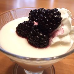 A picture of Vanilla Pudding.