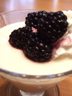 A picture of Vanilla Pudding.