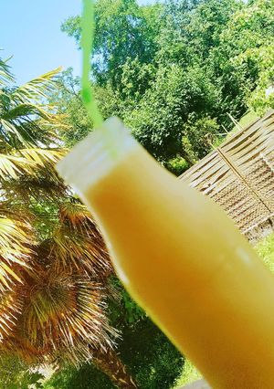 Une photo de Boisson au lait, orange,citron,et pêche