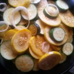 A picture of Scooter's Squash and Zucchini.