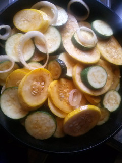 A picture of Scooter's Squash and Zucchini.