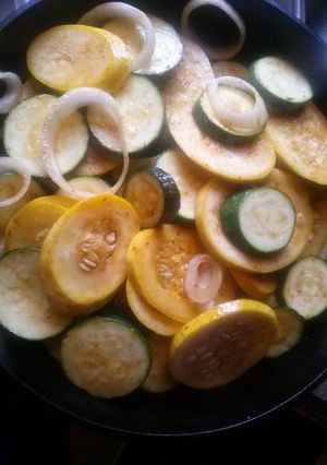 A picture of Scooter's Squash and Zucchini.