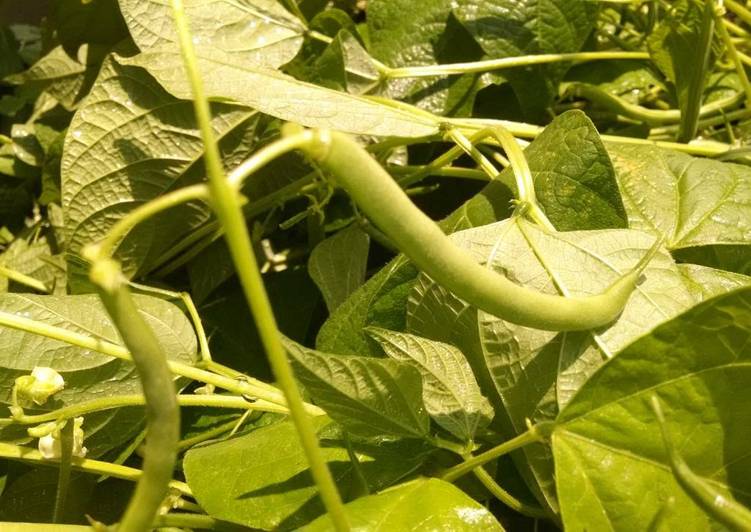 Steps to Prepare Speedy Garden Green Beans and Garlic