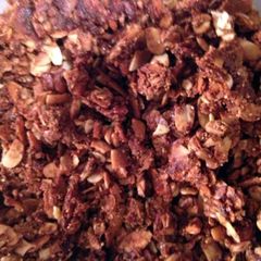 A picture of Paleo Crunch.