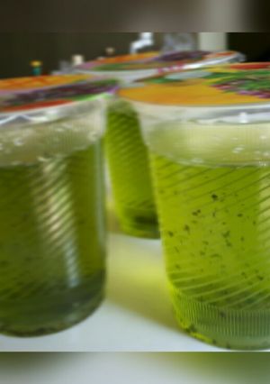 Foto resep 18.Lemon Tea #ketopad #bikinramadanberkesan