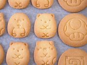 A picture of basic cookies