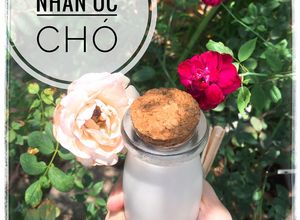 Hình của món Sữa hạnh nhân óc chó.