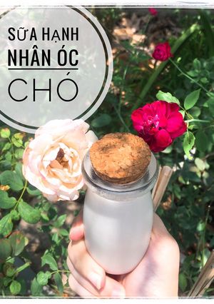 Hình của món Sữa hạnh nhân óc chó.