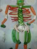 Ladybirds Skeleton Body