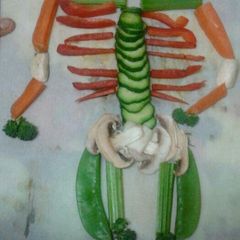 A picture of Ladybirds Skeleton Body.