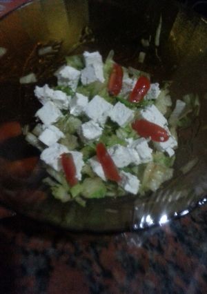 A picture of HCG diet meal 8: Greek salad style.