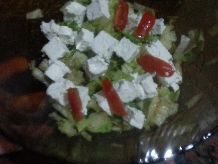 Recipe HCG diet meal 8: Greek salad style which Delicious