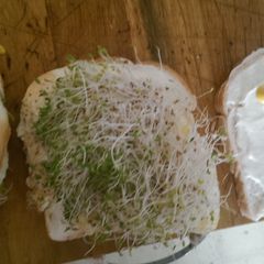 A picture of Sprouted Egg Sandwich.