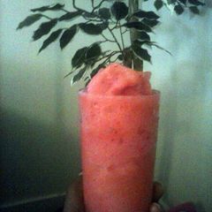 A picture of SweetTropArita.