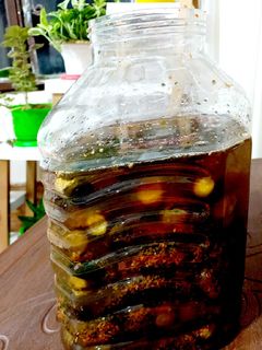 عکسی از دستور ترشی بادمجان شکم پر با عطر ترخون