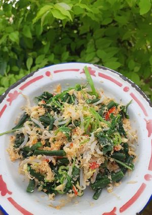 Foto resep Urap / Gudangan ala solo