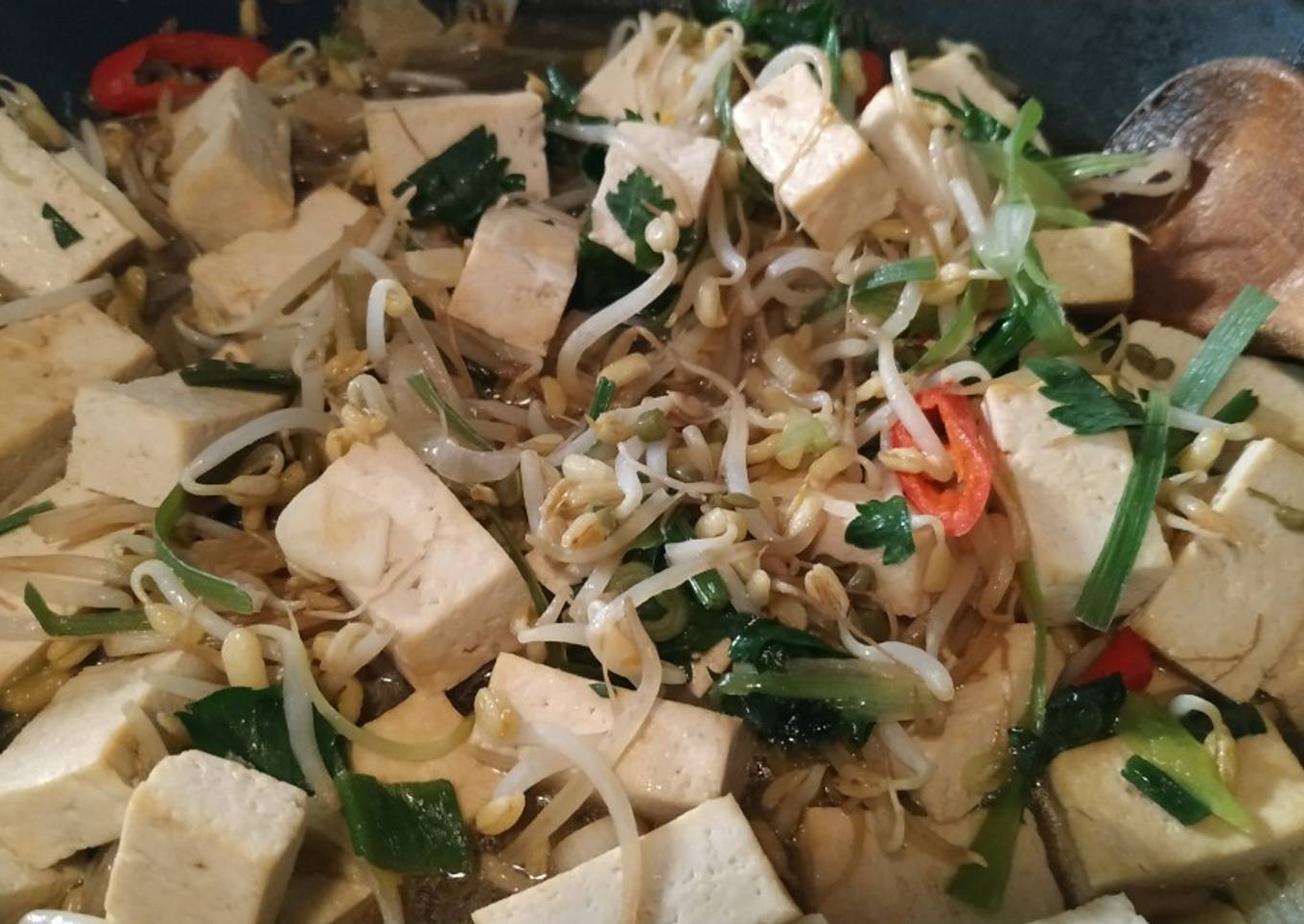 Tumis Tahu Tauge