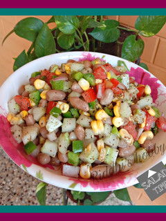 ક્યુકમબર પીનટ સલાડ (Cucumber Peanut Salad Recipe In Gujarati) રેસીપી મુખ્ય ફોટો