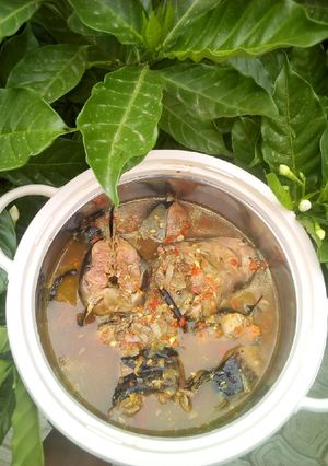 A picture of Cat fish pepper Soup.