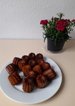 Une photo de Moelleux chocolat blanc en forme de cannelés