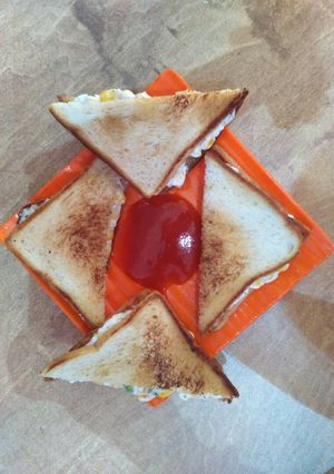 A picture of Veg mayo grilled sandwich.